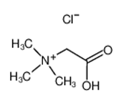 Show details for Betaine hydrochloride