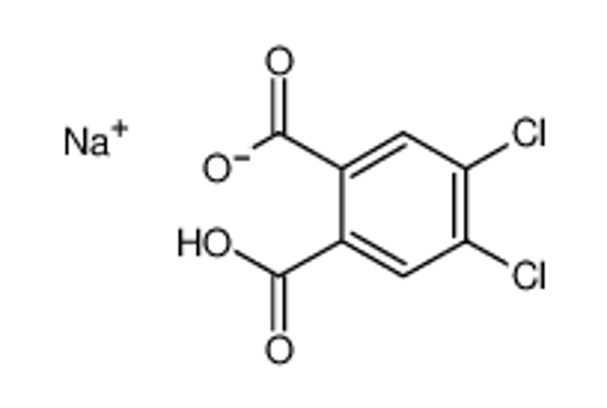 Picture of 4,5-DICHLOROPHTHALIC ACID MONOSODIUM SALT
