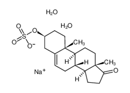 Picture of sodium,[(3S,8R,9S,10R,13S,14S)-10,13-dimethyl-17-oxo-1,2,3,4,7,8,9,11,12,14,15,16-dodecahydrocyclopenta[a]phenanthren-3-yl] sulfate,dihydrate