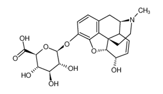 Picture of Morphine 3-β-D-Glucuronide