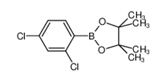 Picture of 2,4-Dichlorophenylboronic acid, pinacol ester