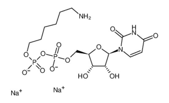 Picture of [6-aminohexoxy(hydroxy)phosphoryl] [5-(2,4-dioxopyrimidin-1-yl)-3,4-dihydroxyoxolan-2-yl]methyl hydrogen phosphate,sodium