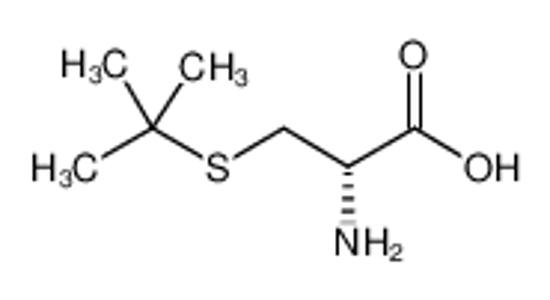 Picture of D-S-tert-Butylcysteine