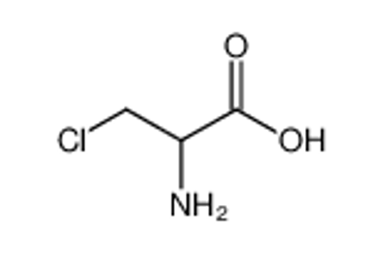 Picture of 2-amino-3-chloropropanoic acid